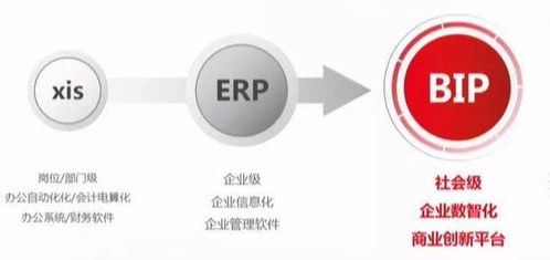 未及十年，云ERP已過時 信息服務(wù)引領(lǐng)企業(yè)數(shù)字化新浪潮